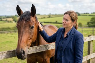 Femme d'affaires caressant un cheval calme en extérieur